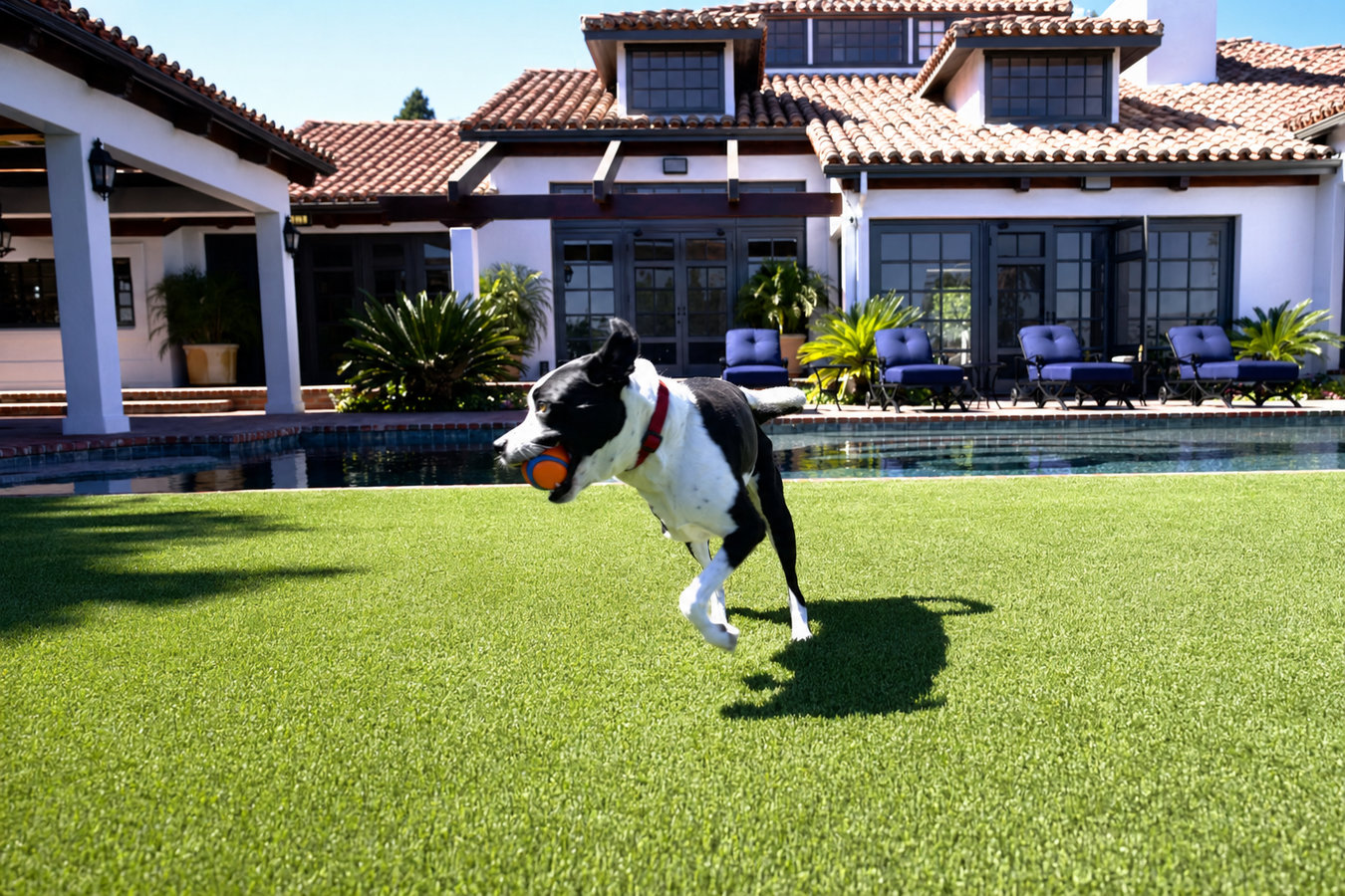 Pet-friendly turf in Manteca, CA